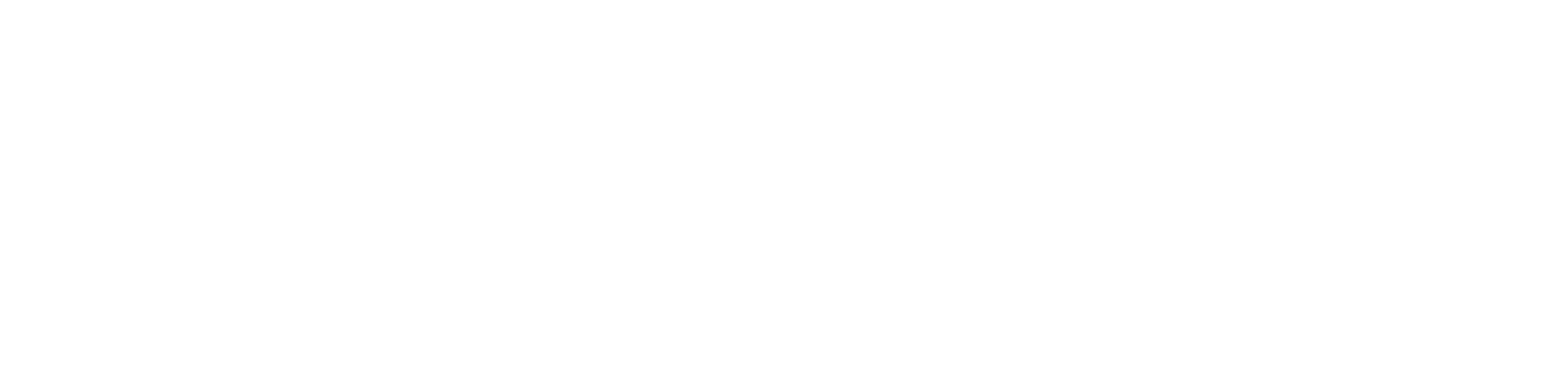 ConectaLot